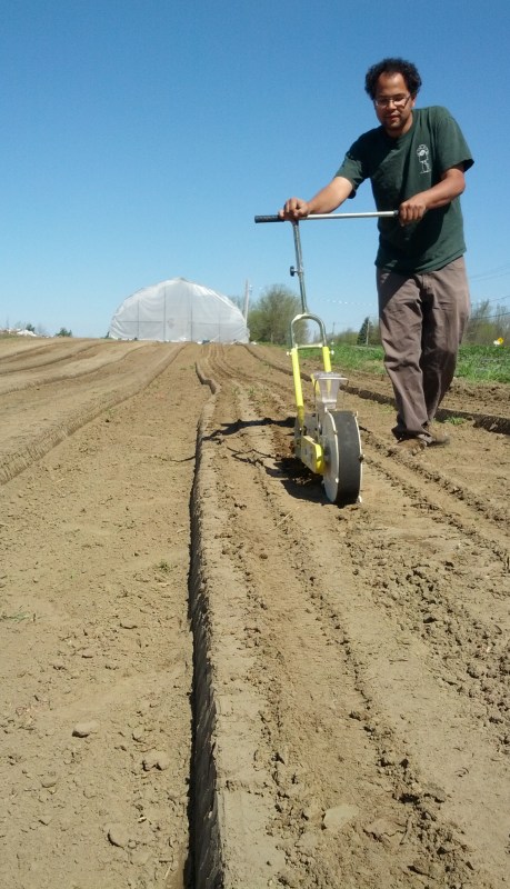 Semoir moderne Jang Clean seeder